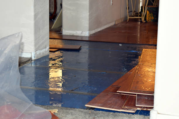 Professional Crawl Space Water Removal technician working in Lansing, KS